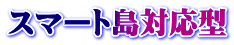 X}[gΉ^