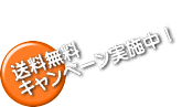 送料無料 キャンペーン実施中！